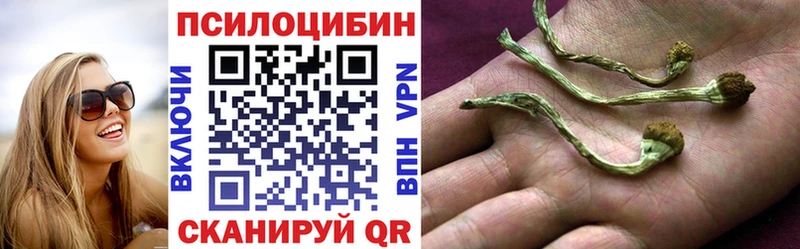 Галлюциногенные грибы мицелий наркотики Сусуман