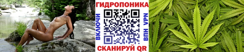 Бошки Шишки White Widow  Сусуман 